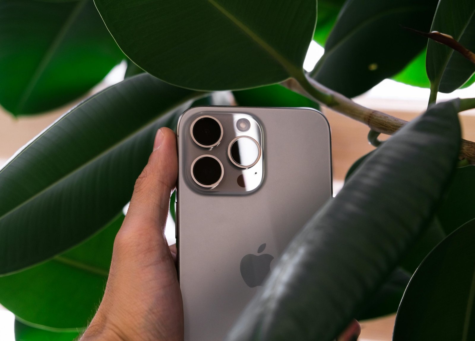 pexels-photo-18525573-18525573 Hand holding a smartphone with triple camera lens against green leaves, showcasing modern design.